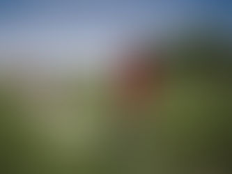 Weekly Market Report - May 1, 2023