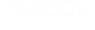 PROCON EXPERTS - Logo - pixel - white transparent.png