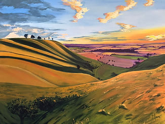 Roundway Down.jpg