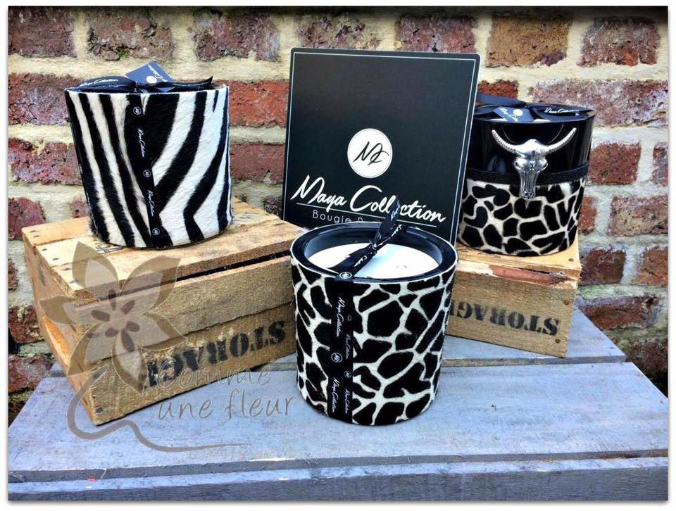 17862673_642135562643492_1497924804772122918_n