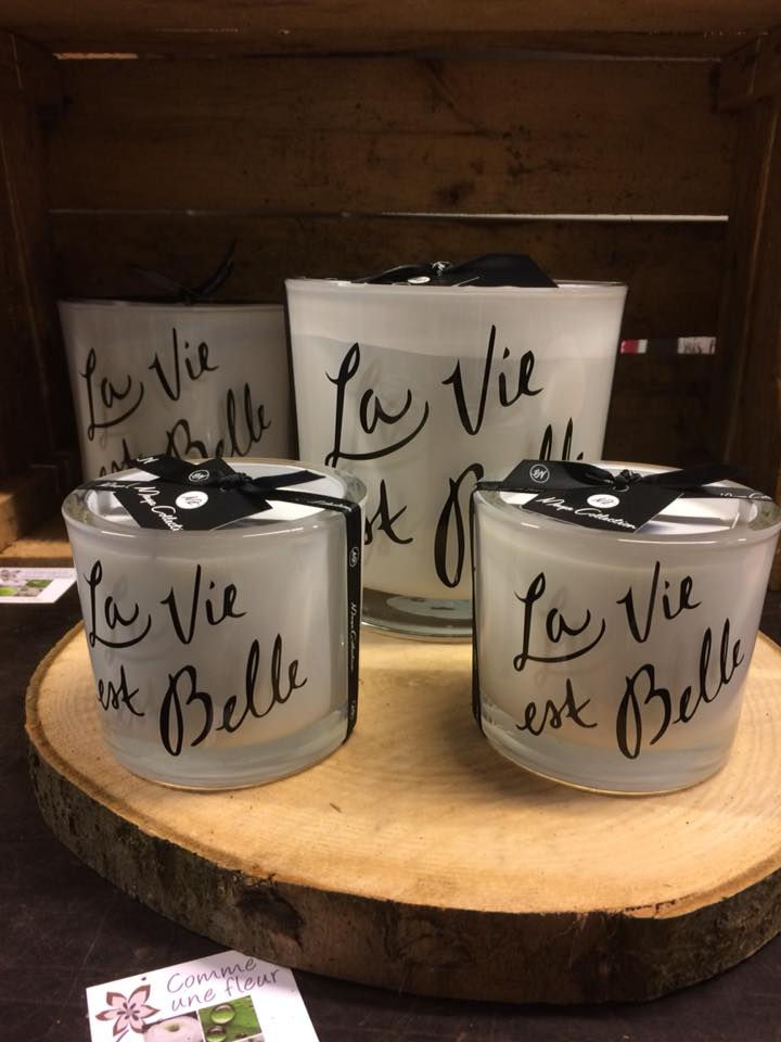 25289626_753965854793795_4893421736978314379_n