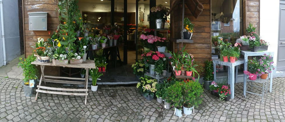 31478696_1718855931495292_471620029377413120_n