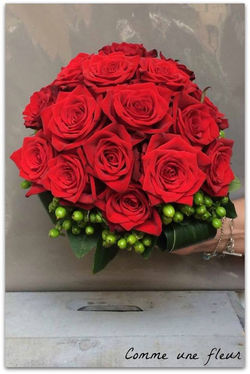 13322087_500514153472301_7705201450781799682_n