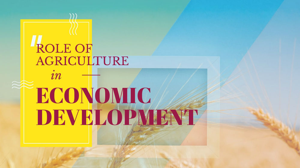 Agriculture Continues to Be Economically Unviable in the Dobe Area