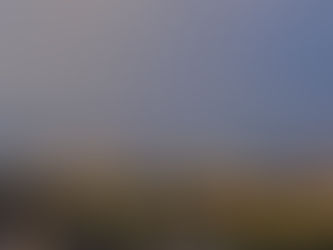 AI and Machine Learning