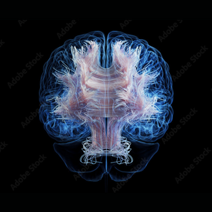 Leukodystrophy Awareness Month (30 September 2025)