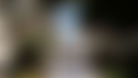 Malta's Financial Services Sector is Investing in its Most Important Asset: People 