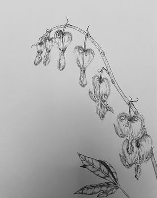 Pointillism Bleeding Hearts Flower