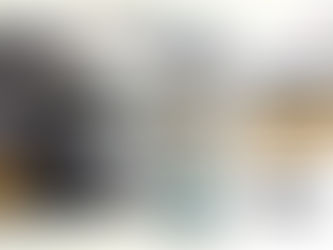 Toy Hauler Travel Trailer for Sale in Missouri