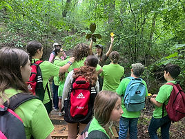2025 Camp Hike 3.jpg