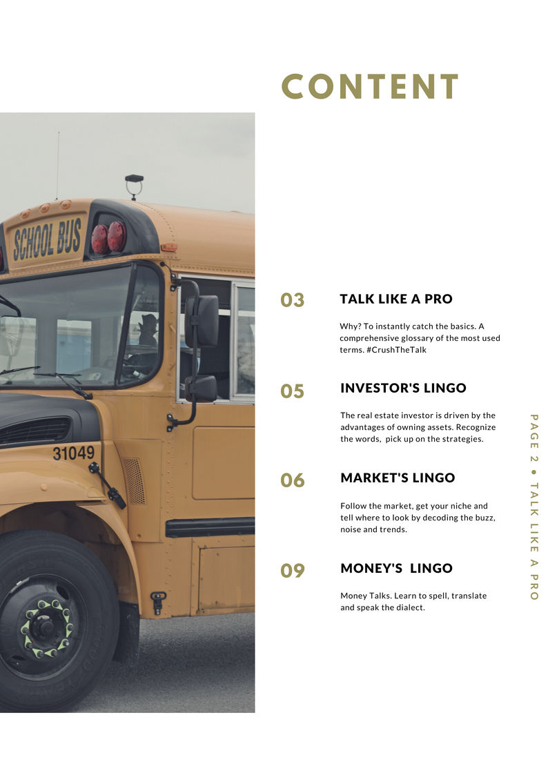 Thumbnail: Talk Like A Pro- E-book