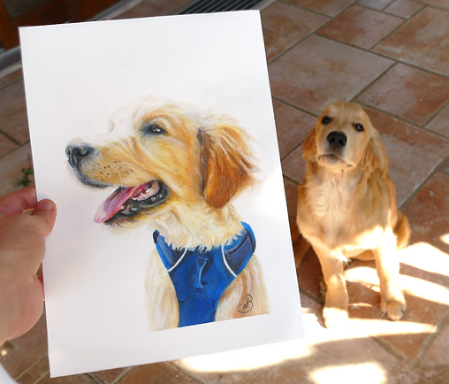 P1000680 (1)_edited_edited_edited.png