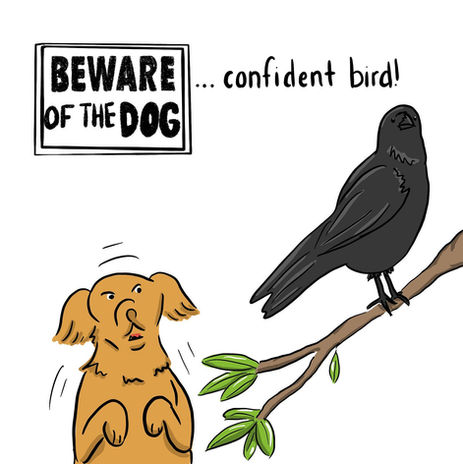A dog barks at an upside crow in a tree, the bird is looking oblivious to the angry dog. The text reads "Beware of the dog... confident bird!"