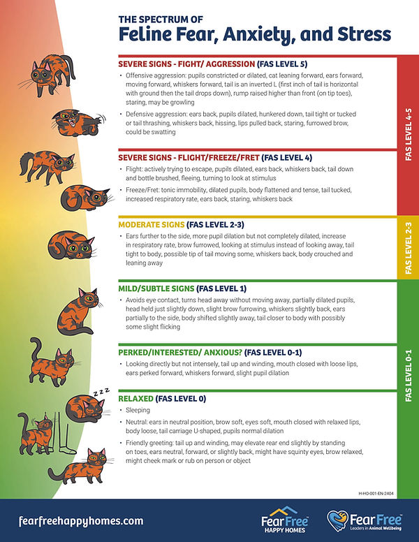 Chart of Feline Fear, Anxiety, and Stress spectrum levels.