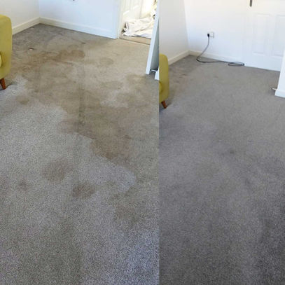 before and after image of carpet cleaning in bedroom