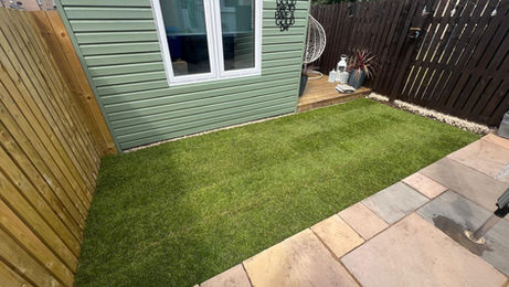 a small garden with new grass
