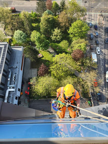 Person in safety gear rappelling down building cleaning windows