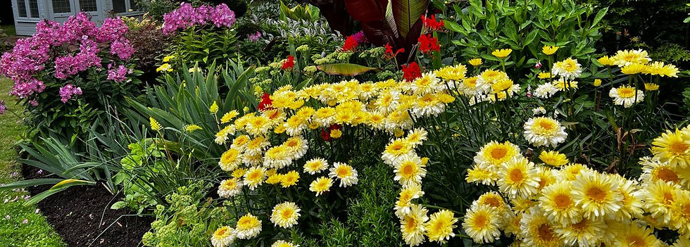 flower bed by IDC Greenscapes Ltd