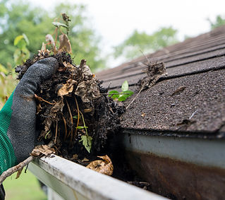 image of man clearing leaves and build up from gutter