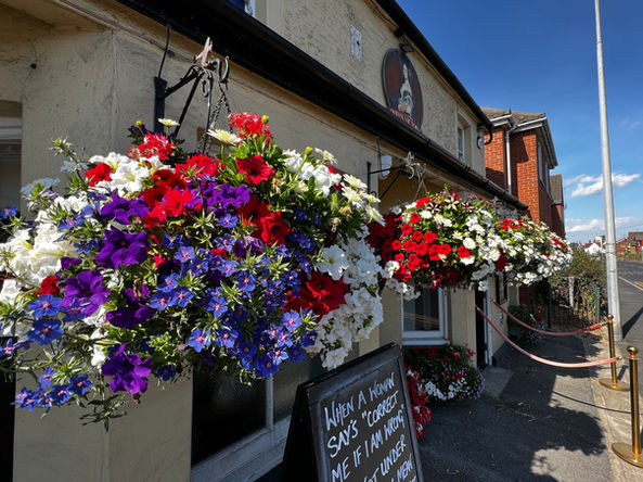 flowers in hanging basket by IDC Greenscapes Ltd