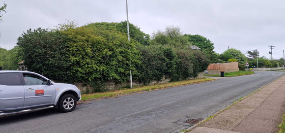 overgrown hedge