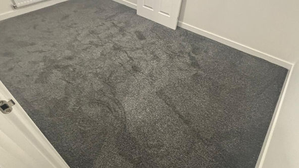 grey carpet in hallway and bedroom