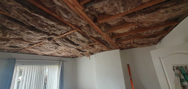 ceiling insulation 