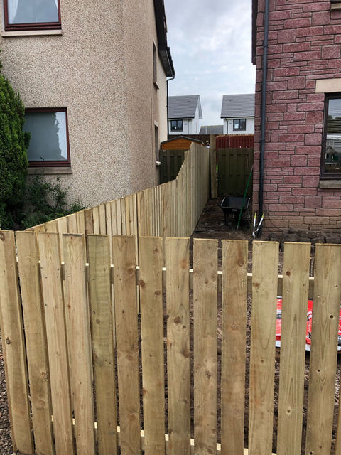 wooden garden fence
