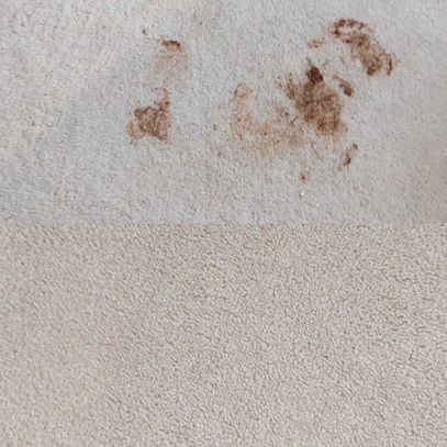before and after image of carpet cleaning