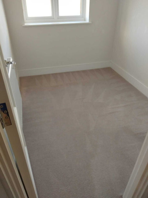 small studio room with one window and light brown carpet