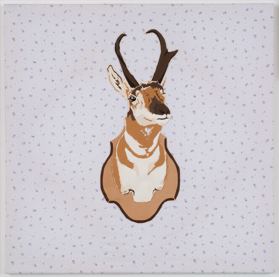 Pronghorn