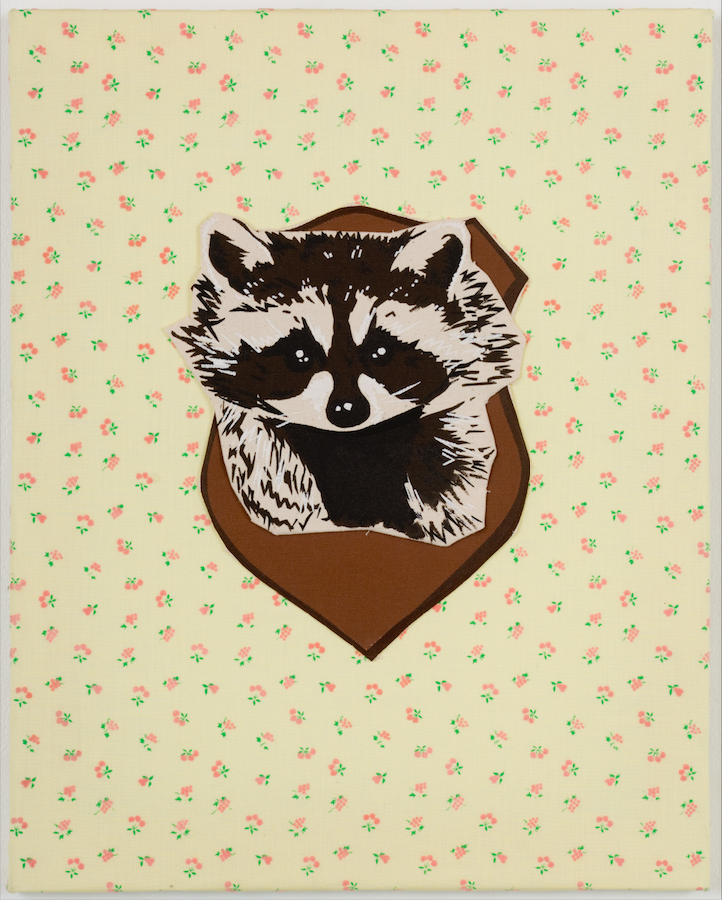 Raccoon