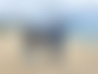 今日のタンデムフライト✈️