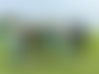 今日のタンデムフライト✈️