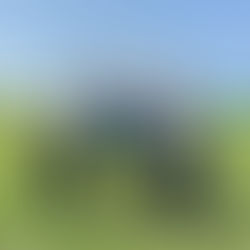 今日のタンデムフライト✈️