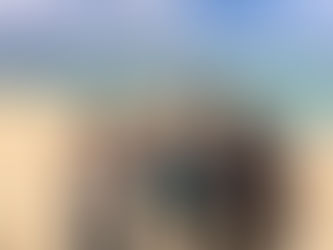 先日のタンデムフライト✈️