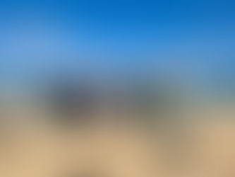 今日のタンデムフライト✈️