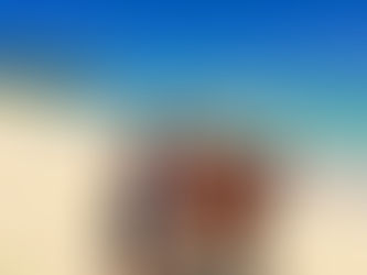 先日のタンデムフライト✈️