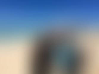 今日のタンデムフライト✈️