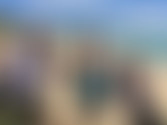 今日のタンデムフライト✈️