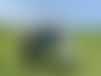 今日のタンデムフライト✈️