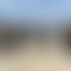 今日のタンデムフライト✈️