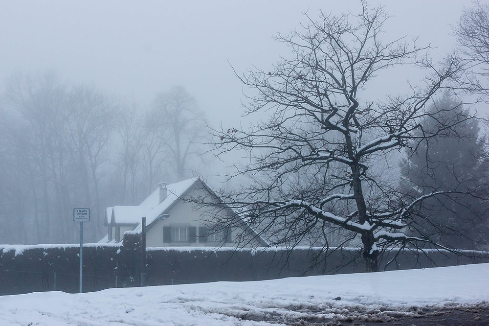 photo of house near tree during winter