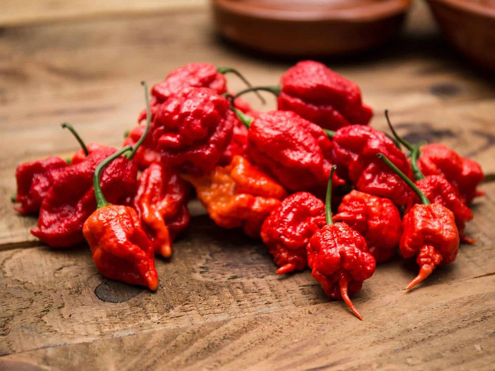 Carolina-Reaper-peperoncino.jpg