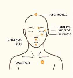 Head and Body EFT tapping points