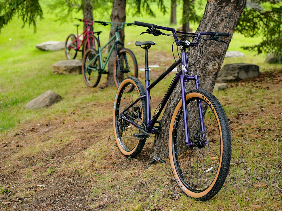 Thumbnail: GTREX Frame, Fork, Handlebar Only