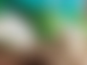 Beneficios de consumir guanábana, entre ellos, que ataca diez tipos de cáncer