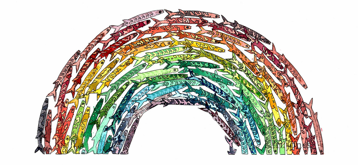 Rainbow-WEB-2500x1701-445KB-watermarked.jpg