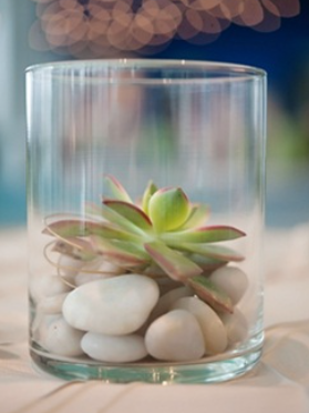 Succulant Sub