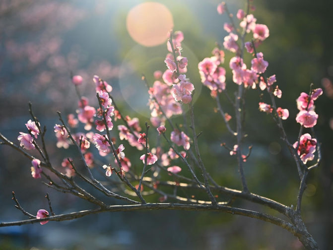 Kaputte Welt - Blog ohne Social Media